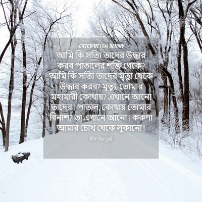 Picture 04 - হোচেয়া 13:14 BENIRV - আমি কি সত্যি তাদের - Bible Verse Picture