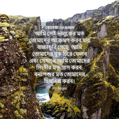 Picture 04 - হোচেয়া 13:8 BENIRV - আমি সেই ভালুকের মত - Bible Verse Picture