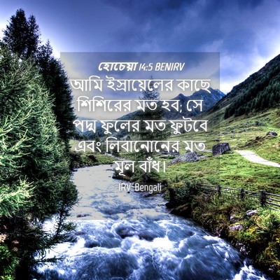 Picture 04 - হোচেয়া 14:5 BENIRV - আমি ইস্রায়েলের - Bible Verse Picture
