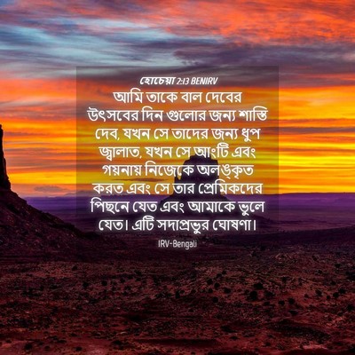 Picture 04 - হোচেয়া 2:13 BENIRV - আমি তাকে বাল দেবের - Bible Verse Picture