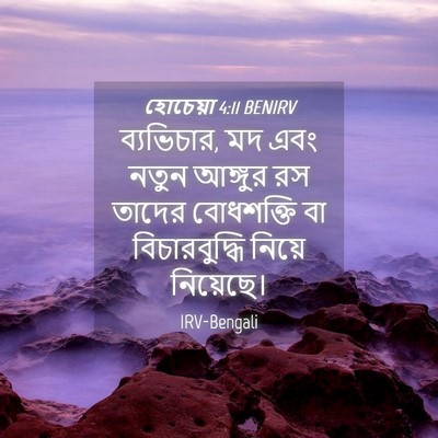 Picture 04 - হোচেয়া 4:11 BENIRV - ব্যভিচার, মদ এবং - Bible Verse Picture