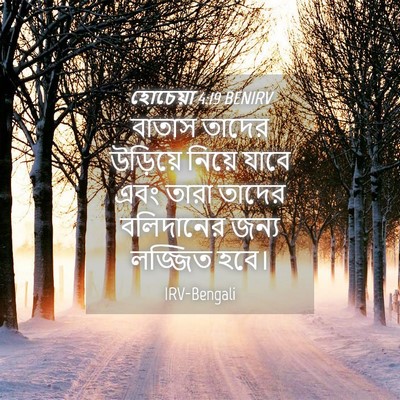 Picture 04 - হোচেয়া 4:19 BENIRV - বাতাস তাদের - Bible Verse Picture