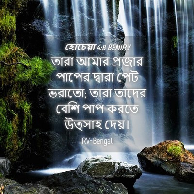Picture 04 - হোচেয়া 4:8 BENIRV - তারা আমার প্রজার - Bible Verse Picture