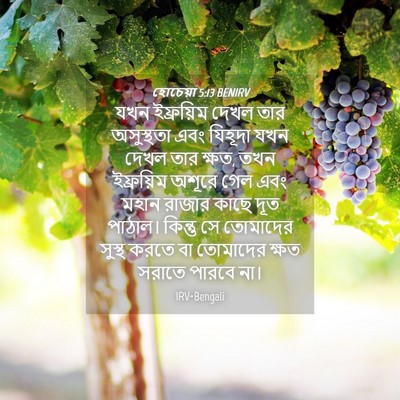 Picture 04 - হোচেয়া 5:13 BENIRV - যখন ইফ্রয়িম দেখল - Bible Verse Picture