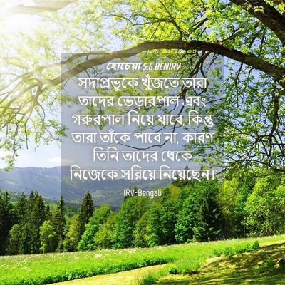 Picture 04 - হোচেয়া 5:6 BENIRV - সদাপ্রভুকে খুঁজতে - Bible Verse Picture