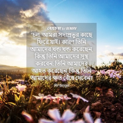 Picture 04 - হোচেয়া 6:1 BENIRV - “চল, আমরা - Bible Verse Picture