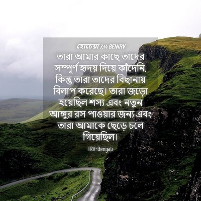 Picture 04 - হোচেয়া 7:14 BENIRV - তারা আমার কাছে - Bible Verse Picture