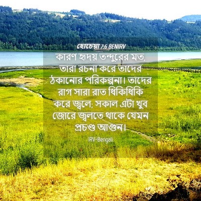 Picture 04 - হোচেয়া 7:6 BENIRV - কারণ হৃদয় - Bible Verse Picture