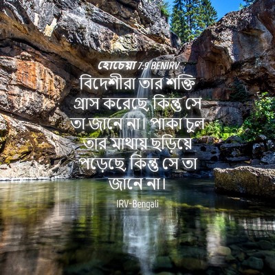 Picture 04 - হোচেয়া 7:9 BENIRV - বিদেশীরা তার - Bible Verse Picture