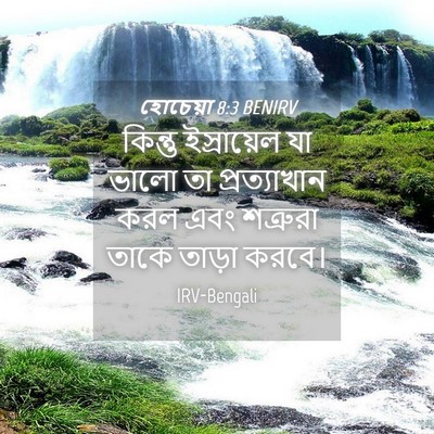 Picture 04 - হোচেয়া 8:3 BENIRV - কিন্তু ইস্রায়েল - Bible Verse Picture