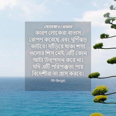 Picture 04 - হোচেয়া 8:7 BENIRV - কারণ লোকেরা বাতাস - Bible Verse Picture