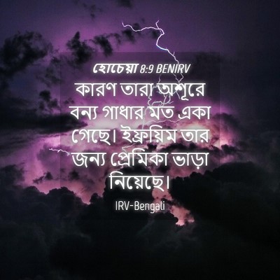 Picture 04 - হোচেয়া 8:9 BENIRV - কারণ তারা অশূরে - Bible Verse Picture