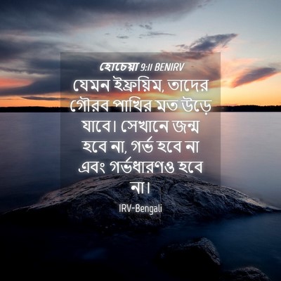 Picture 04 - হোচেয়া 9:11 BENIRV - যেমন ইফ্রয়িম, - Bible Verse Picture