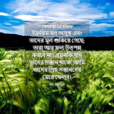 Picture 04 - হোচেয়া 9:16 BENIRV - ইফ্রয়িম হল - Bible Verse Picture