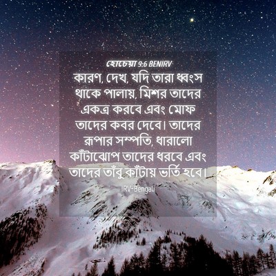 Picture 04 - হোচেয়া 9:6 BENIRV - কারণ, দেখ, যদি তারা - Bible Verse Picture