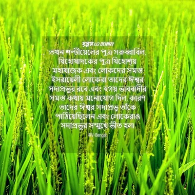 Picture 04 - হ্গ্গয় 1:12 BENIRV - তখন শল্টীয়েলের - Bible Verse Picture