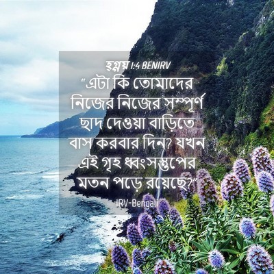 Picture 04 - হ্গ্গয় 1:4 BENIRV - “এটা কি তোমাদের - Bible Verse Picture