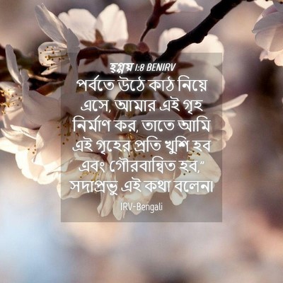 Picture 04 - হ্গ্গয় 1:8 BENIRV - পর্বতে উঠে কাঠ - Bible Verse Picture