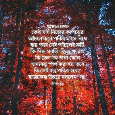 Picture 04 - হ্গ্গয় 2:12 BENIRV - কেউ যদি নিজের - Bible Verse Picture