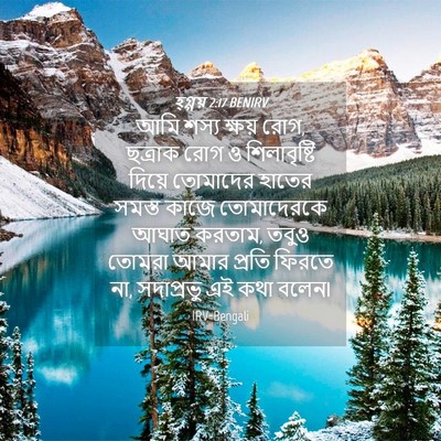 Picture 04 - হ্গ্গয় 2:17 BENIRV - আমি শস্য ক্ষয় রোগ, - Bible Verse Picture