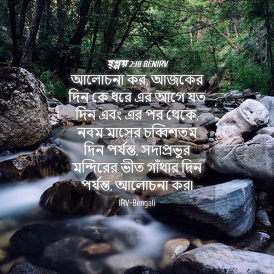 Picture 04 - হ্গ্গয় 2:18 BENIRV - আলোচনা কর, আজকের - Bible Verse Picture