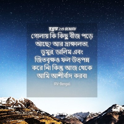 Picture 04 - হ্গ্গয় 2:19 BENIRV - গোলায় কি কিছু বীজ - Bible Verse Picture