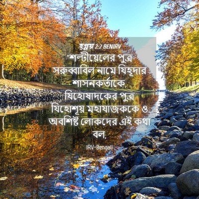Picture 04 - হ্গ্গয় 2:2 BENIRV - “শল্টীয়েলের - Bible Verse Picture