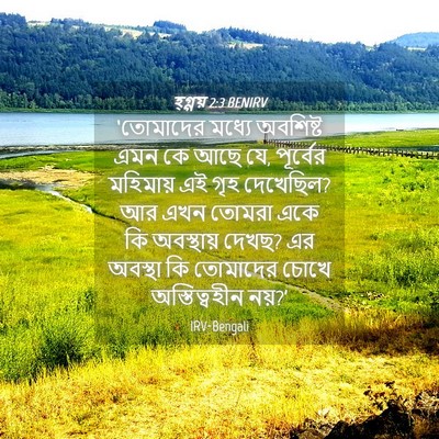 Picture 04 - হ্গ্গয় 2:3 BENIRV - ‘তোমাদের মধ্যে - Bible Verse Picture