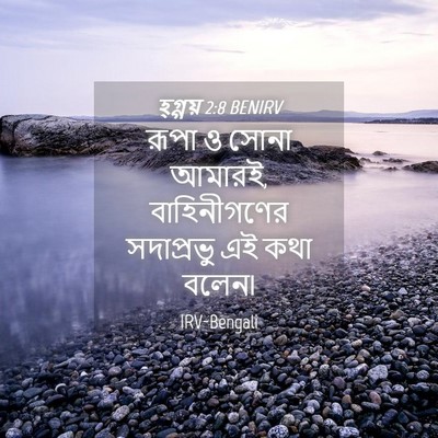 Picture 04 - হ্গ্গয় 2:8 BENIRV - রূপা ও সোনা আমারই, - Bible Verse Picture