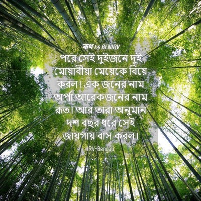 Picture 04 - ৰূথ 1:4 BENIRV - পরে সেই দুইজনে দুই - Bible Verse Picture