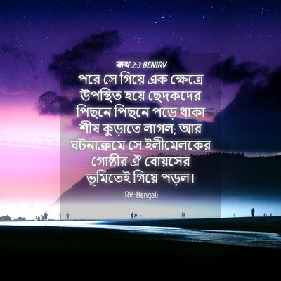 Picture 04 - ৰূথ 2:3 BENIRV - পরে সে গিয়ে এক - Bible Verse Picture