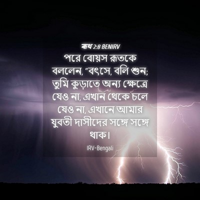 Picture 04 - ৰূথ 2:8 BENIRV - পরে বোয়স রূতকে - Bible Verse Picture