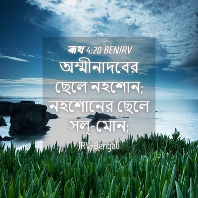 Picture 04 - ৰূথ 4:20 BENIRV - অম্মীনাদবের ছেলে - Bible Verse Picture