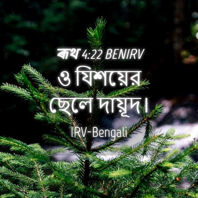 Picture 04 - ৰূথ 4:22 BENIRV - ও যিশয়ের ছেলে - Bible Verse Picture