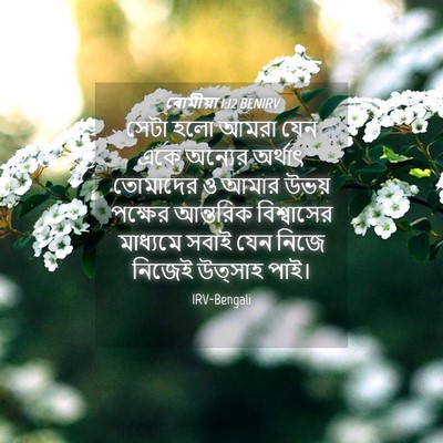 Picture 04 - ৰোমীয়া 1:12 BENIRV - সেটা হলো আমরা যেন - Bible Verse Picture