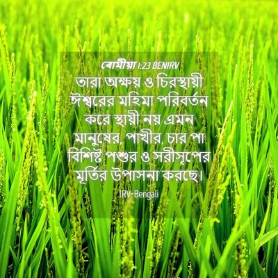 Picture 04 - ৰোমীয়া 1:23 BENIRV - তারা অক্ষয় ও - Bible Verse Picture