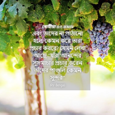 Picture 04 - ৰোমীয়া 10:15 BENIRV - এবং তাদের না - Bible Verse Picture