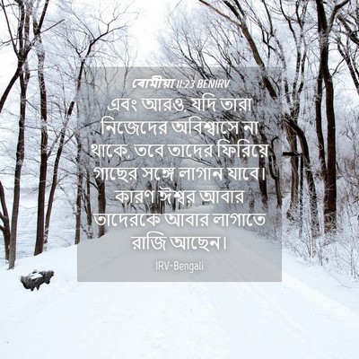 Picture 04 - ৰোমীয়া 11:23 BENIRV - এবং আরও, যদি তারা - Bible Verse Picture