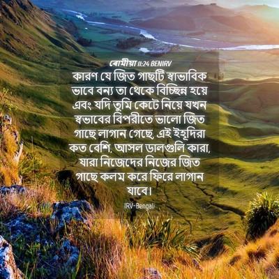 Picture 04 - ৰোমীয়া 11:24 BENIRV - কারণ যে জিত গাছটি - Bible Verse Picture