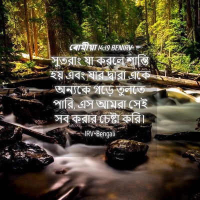 Picture 04 - ৰোমীয়া 14:19 BENIRV - সুতরাং যা করলে - Bible Verse Picture
