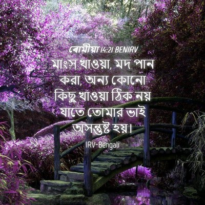 Picture 04 - ৰোমীয়া 14:21 BENIRV - মাংস খাওয়া, মদ পান - Bible Verse Picture