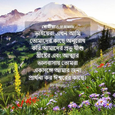Picture 04 - ৰোমীয়া 15:30 BENIRV - ভাইয়েরা, এখন আমি - Bible Verse Picture