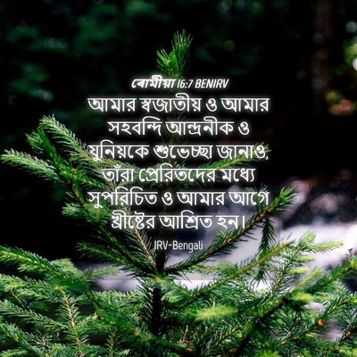 Picture 04 - ৰোমীয়া 16:7 BENIRV - আমার স্বজাতীয় ও - Bible Verse Picture