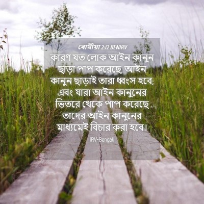 Picture 04 - ৰোমীয়া 2:12 BENIRV - কারণ যত লোক আইন - Bible Verse Picture