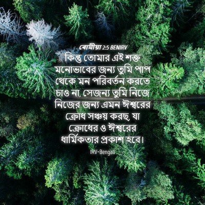 Picture 04 - ৰোমীয়া 2:5 BENIRV - কিন্তু তোমার এই - Bible Verse Picture