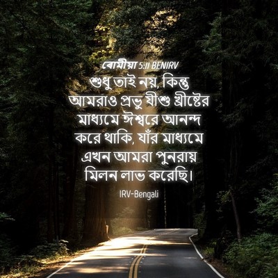 Picture 04 - ৰোমীয়া 5:11 BENIRV - শুধু তাই নয়, - Bible Verse Picture