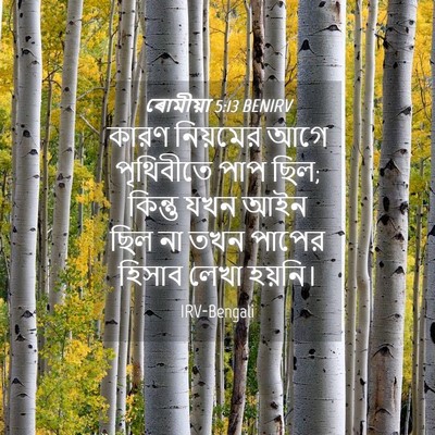 Picture 04 - ৰোমীয়া 5:13 BENIRV - কারণ নিয়মের আগে - Bible Verse Picture