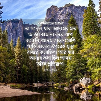 Picture 04 - ৰোমীয়া 5:14 BENIRV - তা সত্বেও, যারা - Bible Verse Picture
