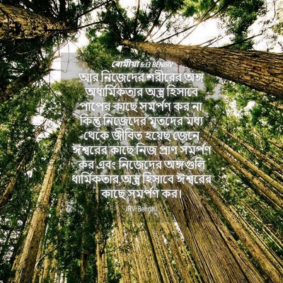 Picture 04 - ৰোমীয়া 6:13 BENIRV - আর নিজেদের শরীরের - Bible Verse Picture