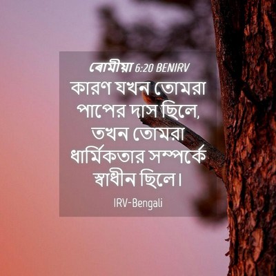 Picture 04 - ৰোমীয়া 6:20 BENIRV - কারণ যখন তোমরা - Bible Verse Picture